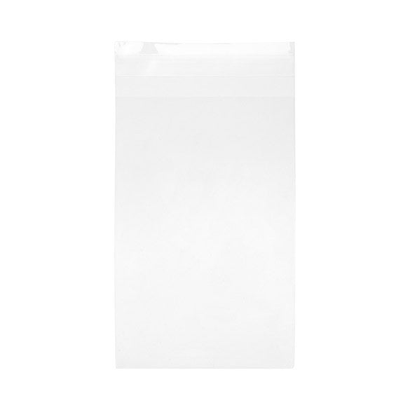 Plastiek Zakken 11x17cm Transparant en Hersluitbaar (100 stuks) [B46T]