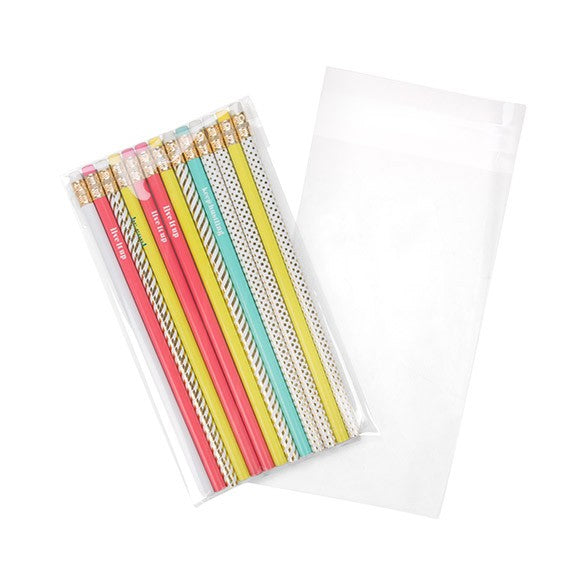 Plastiek Zakken 11x19,1cm Transparant en Hersluitbaar (100 stuks) [B47H]