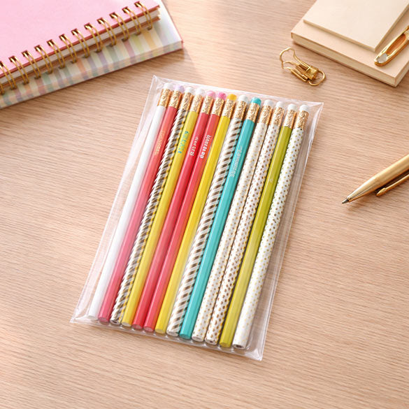 Plastiek Zakken 11x19,1cm Transparant en Hersluitbaar (100 stuks) [B47H]