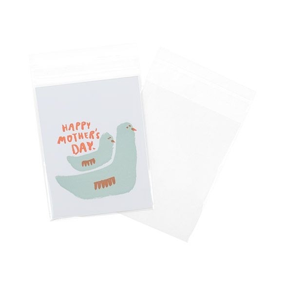 Plastiek Zakken 11,4x14,1cm Transparant en Hersluitbaar (100 stuks) [B54S]