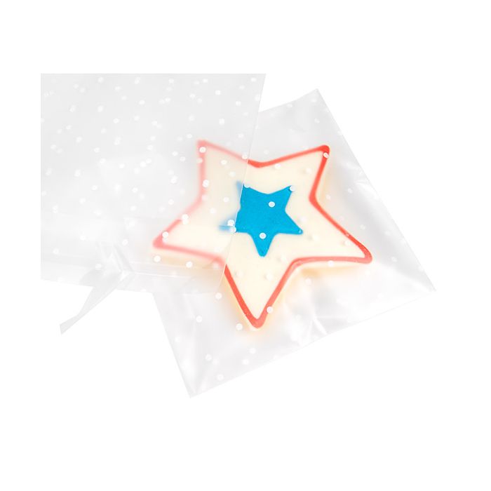 Sachet Plastique glacés 12,7x12,7 cm Avec poids et rabat adhésif (100 pièces) [B55FD]