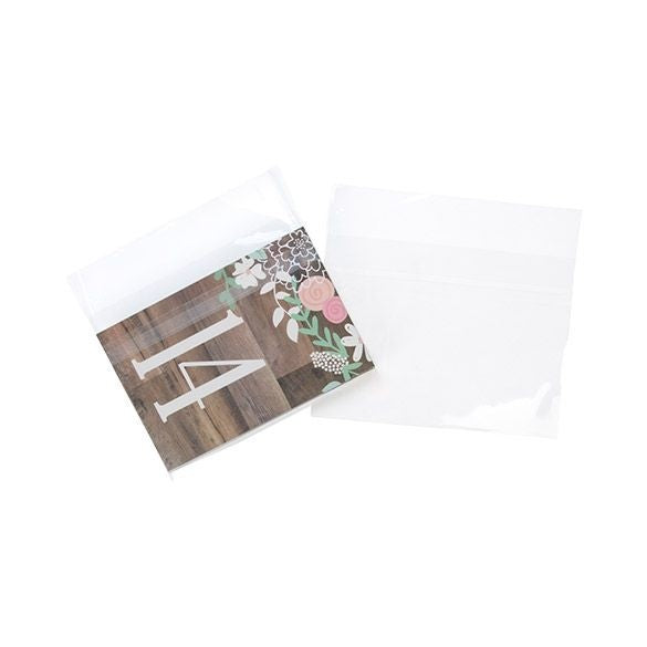 Plastiek Zakken 17,3x12,7cm transapart en hersluitbaar (100 stuks) [B56PC]