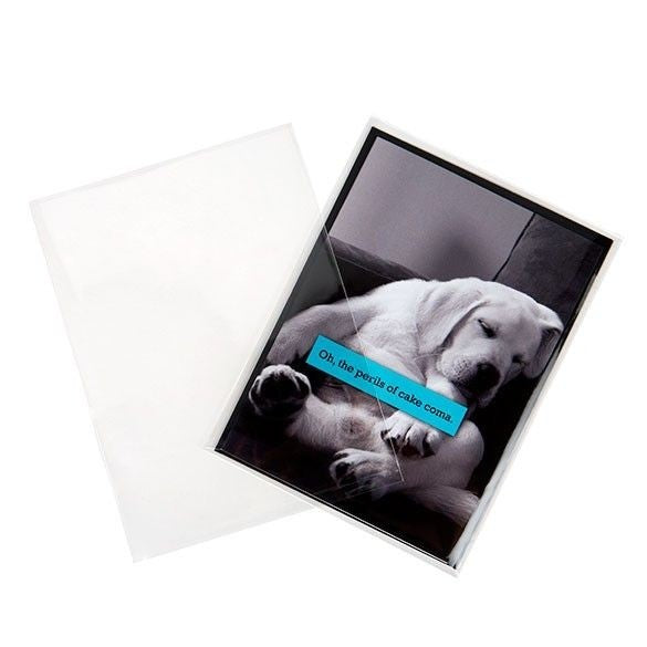 Sachet plastique transparence cristalline 12.5x17 cm sans rabat (100 pièces) [B65NF]