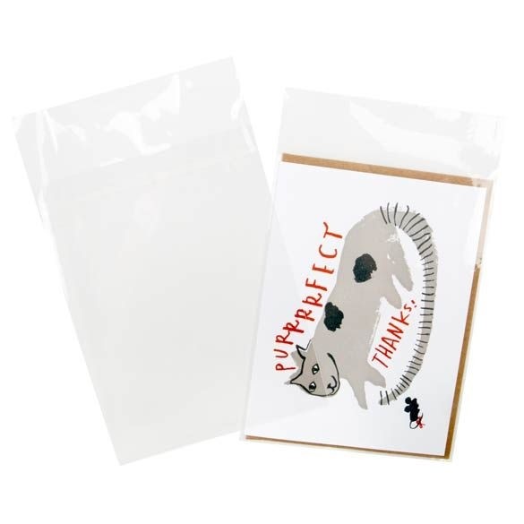 Plastiek Zakken 12,6x16,7cm Transparant en Hersluitbaar (100 stuks) [B65PC]