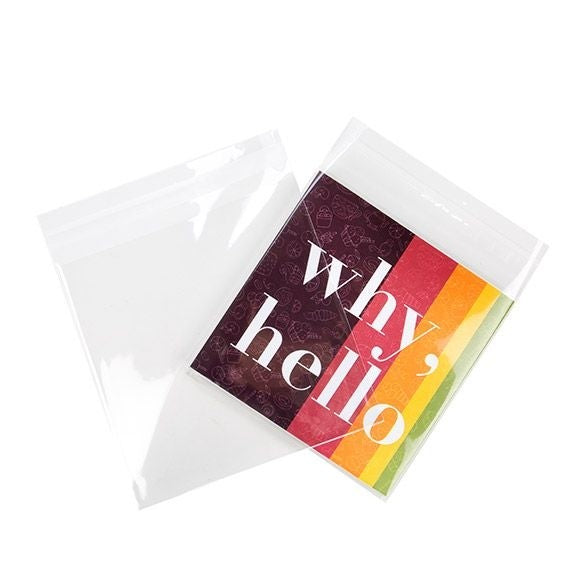 Plastiek Zakken 17x16,7cm Transparant en Hersluitbaar (100 stuks) [B6X6M]