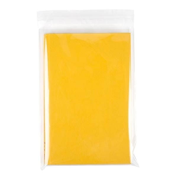 Plastic Bags 18x26cm Transparent Peel and Seal