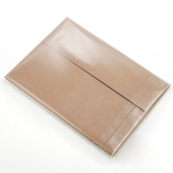 Sachet plastique plat grand format 14x18,5+4cm Refermable par Rabat Adhésif (100 pièces) [B75]