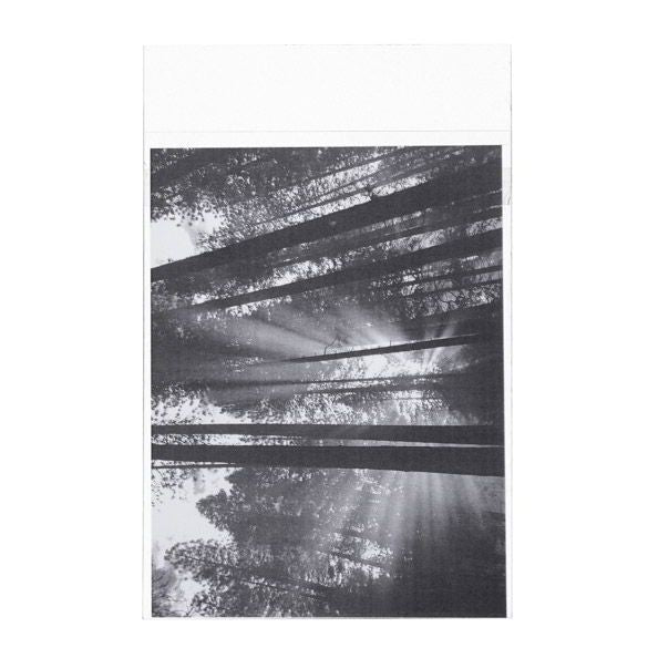 Sachet plastique transparence cristalline 13,8x19,1cm avec Rabat "Sécurisée" (100 pièces) [B57PC]