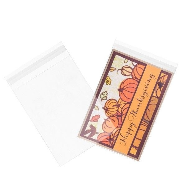 Plastiek Zakken 15x19,5cm Transparant en Hersluitbaar (100 stuks) [B75XL]
