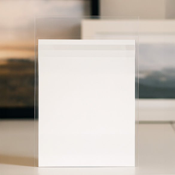 Plastiek Zakken 21,5x27cm Transparant en Hersluitbaar (100 stuks) [B810HPC]