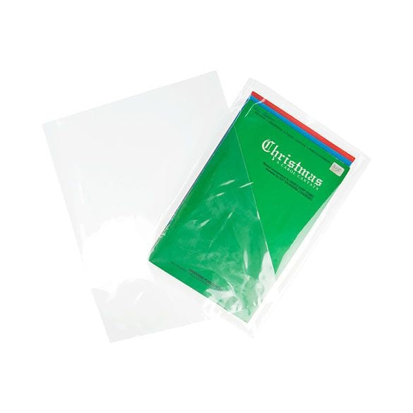 Plastiek Zakken 21,4x31,1cm transparant (100 stuks) [B812NF]