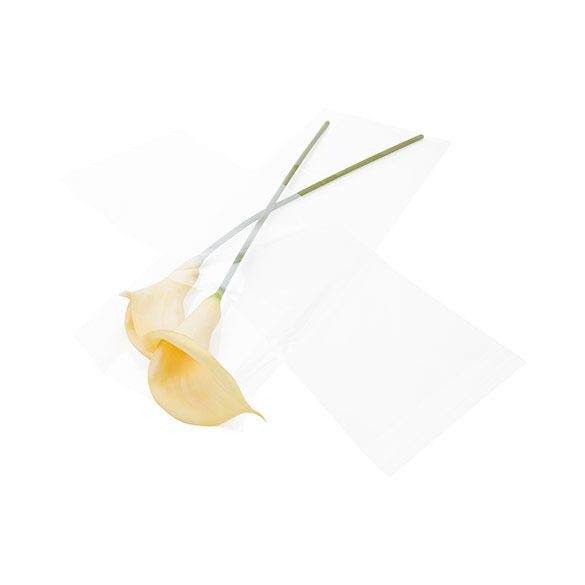 Sachet plastique plat grand format 21,9x59,7cm Refermable par Rabat Adhésif (100 pièces) [B823]