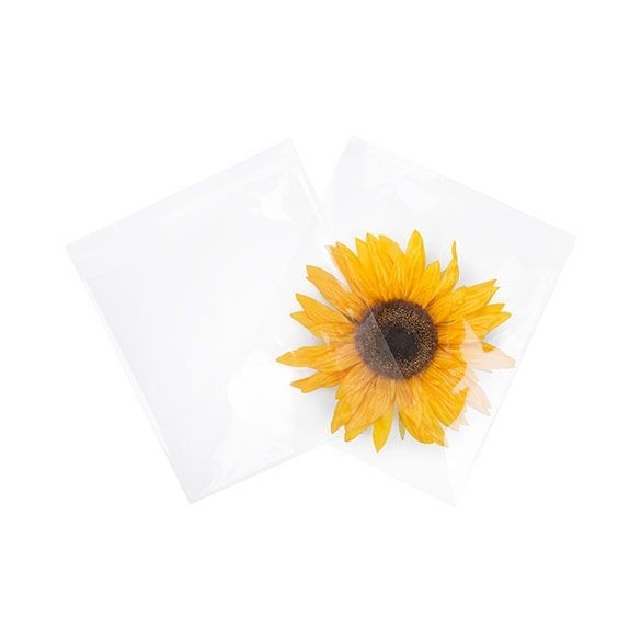 Plastic Bags 22.1x21.7cm Transparent Peel and Seal