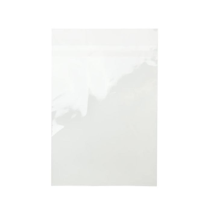 Plastiek Zakken 25,2x33,7cm met beschermende Sluiting (100 stuks) [B913XPC]