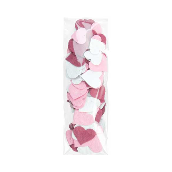 Plastiek Zakken 5,5x18cm Transparant en Hersluitbaar (100 stuks) [BM4]