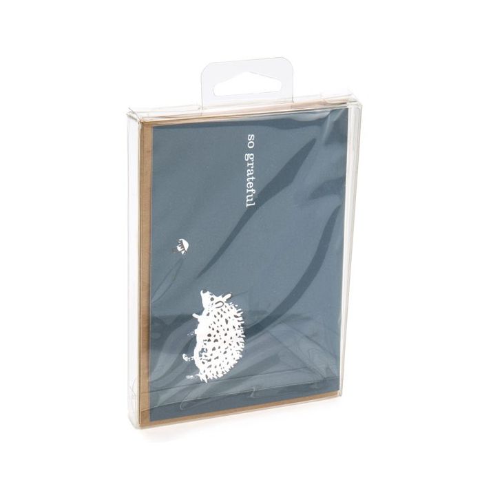 Plastiek Doosjes 9,6x1,6x13,2cm Kristalhelder met Hanger in het midden (25 stuks) [CHFB10]