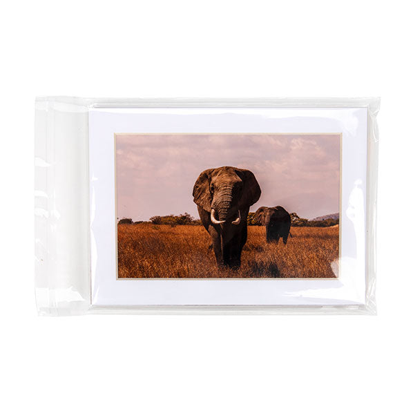 Zakken Milieuvriendelijk ECO 14,4x19,1cm Premium Kwaliteit (100 stuks) [GC7B1]