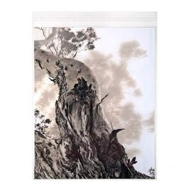 Plastic Bags 28.6x35.9cm Transparent Peel and Seal