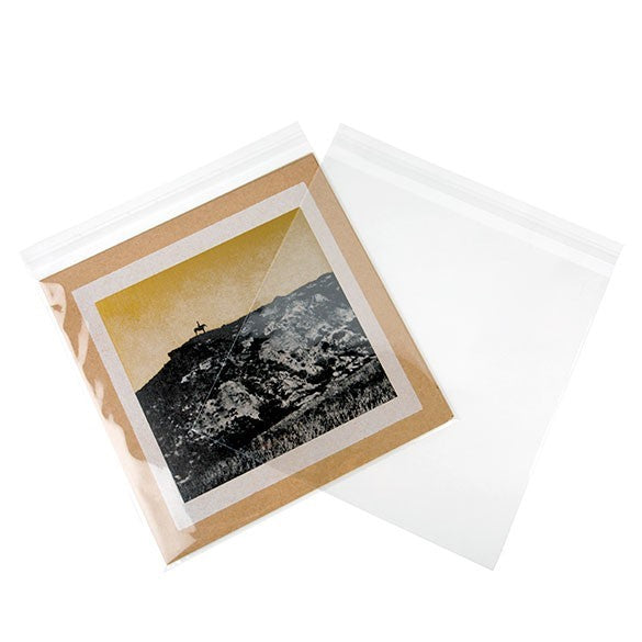 Plastiek Zakken 31,6x31,1cm Transparant en Hersluitbaar (250 stuks) [VL12X12]