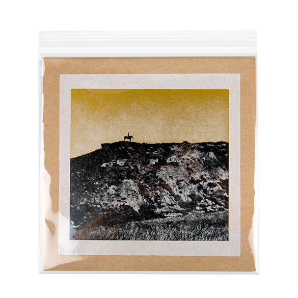 Plastiek Zakken 31,6x31,1cm Transparant en Hersluitbaar (250 stuks) [VL12X12]