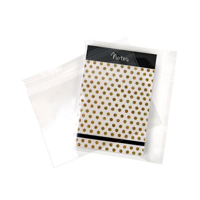 Sachet plastique plat grand format 22,9x15,3cm Refermable par Rabat Adhésif (100 pièces) [B9X6S]