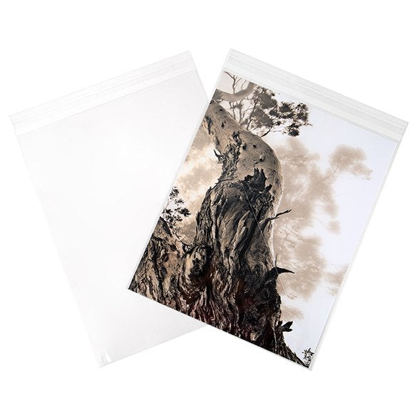 Plastiek Zakken 28,6x35,9cm Transparant en Hersluitbaar (250 stuks) [VL11S]