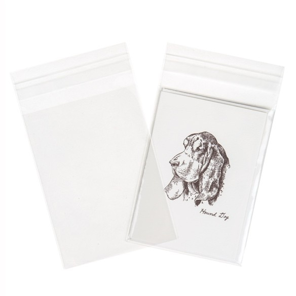 Sachet plastique à rabat avantageux transparence cristalline 9.7x13.2cm (250 pièces) [VL3X5]