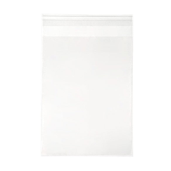 Plastiek Zakken 13,3x18,1cm Transparant en Hersluitbaar (250 stuks) [VL75S]