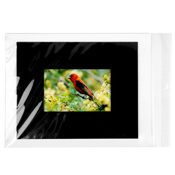 Plastiek Zakken 24x31,9cm Transparant en Hersluitbaar (250 stuks) [VL9]