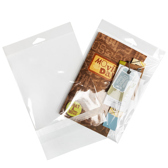 Sachet à trou de suspension refermable avec fermeture sécurisée 15.1x19.7cm (100 pièces) [HB7B3PC]