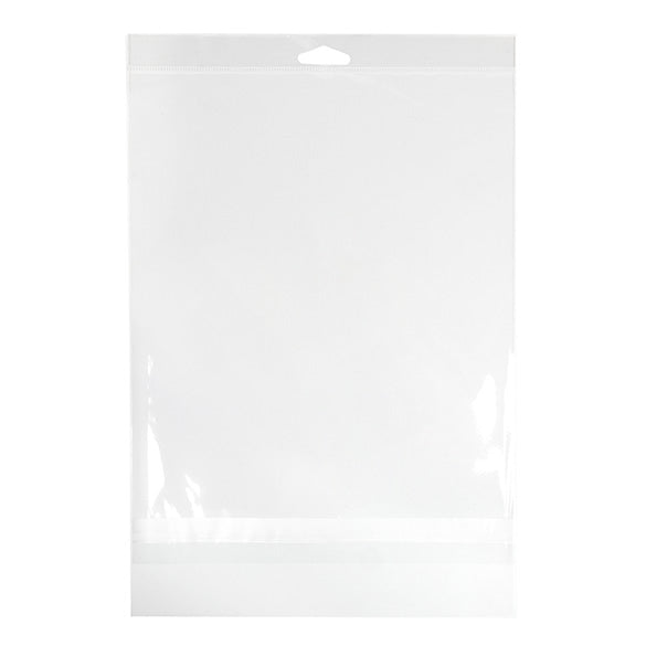 Sachet à trou de suspension refermable avec fermeture sécurisée 22.1x28.1cm (100 pièces) [HB811SPC]
