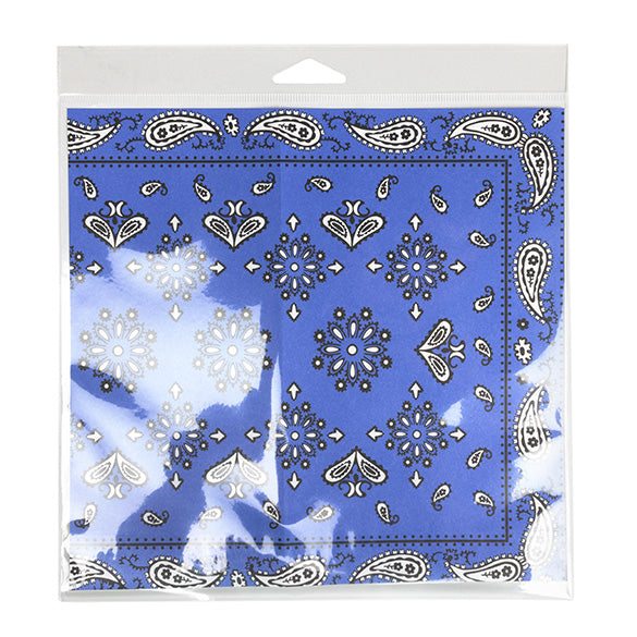 Sachet à trou de suspension refermable à transparence cristalline Fermeture sécurisée 21x20.5cm (100 pièces) [HB88SPC]