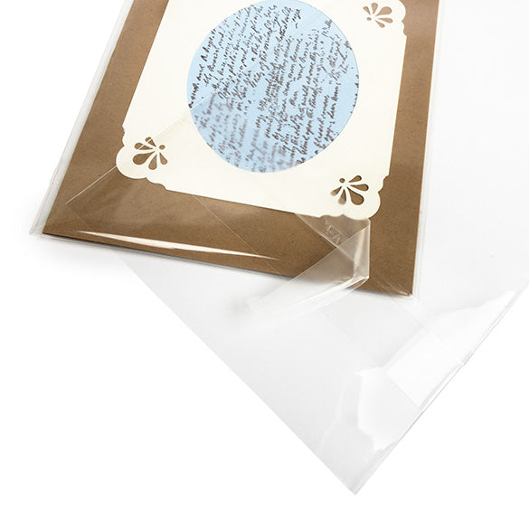 Headerbags 11,7x14,6cm met beschermende sluiting (100 stuks) [HB54PC]