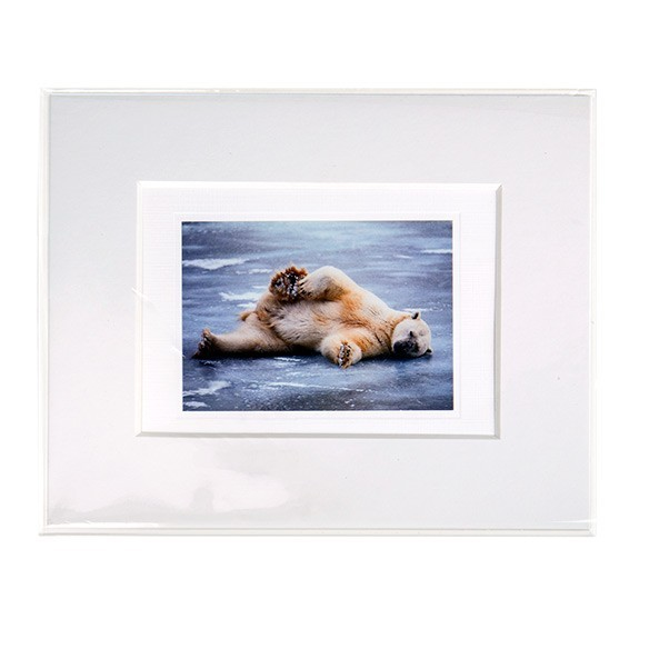 Plastiek Zakken 21x26cm Transparant (250 stuks) [VL108SNF]