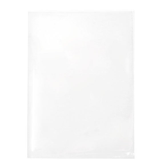 Plastiek Zakken 9,7x13,5cm Transparant (250 stuks) [VL3X5NF]