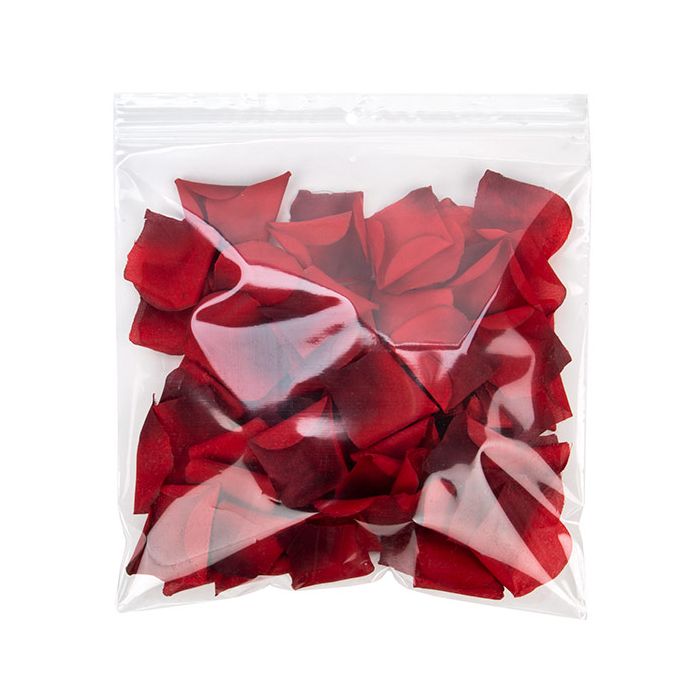 Grip Seal Bags with Hang and Vent-hole 23x23cm Crystal Clear PP 50 micron