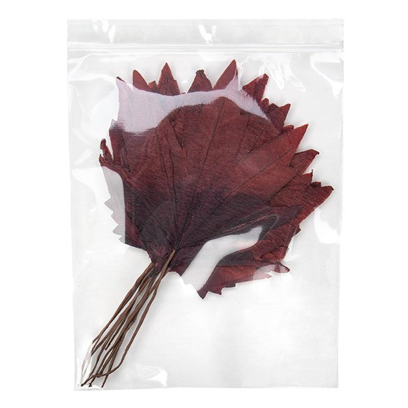 Sachet zip à transparence cristalline 75 microns avec trou pour suspension 20,3x25,4cm (100 pièces) [Z3R810]