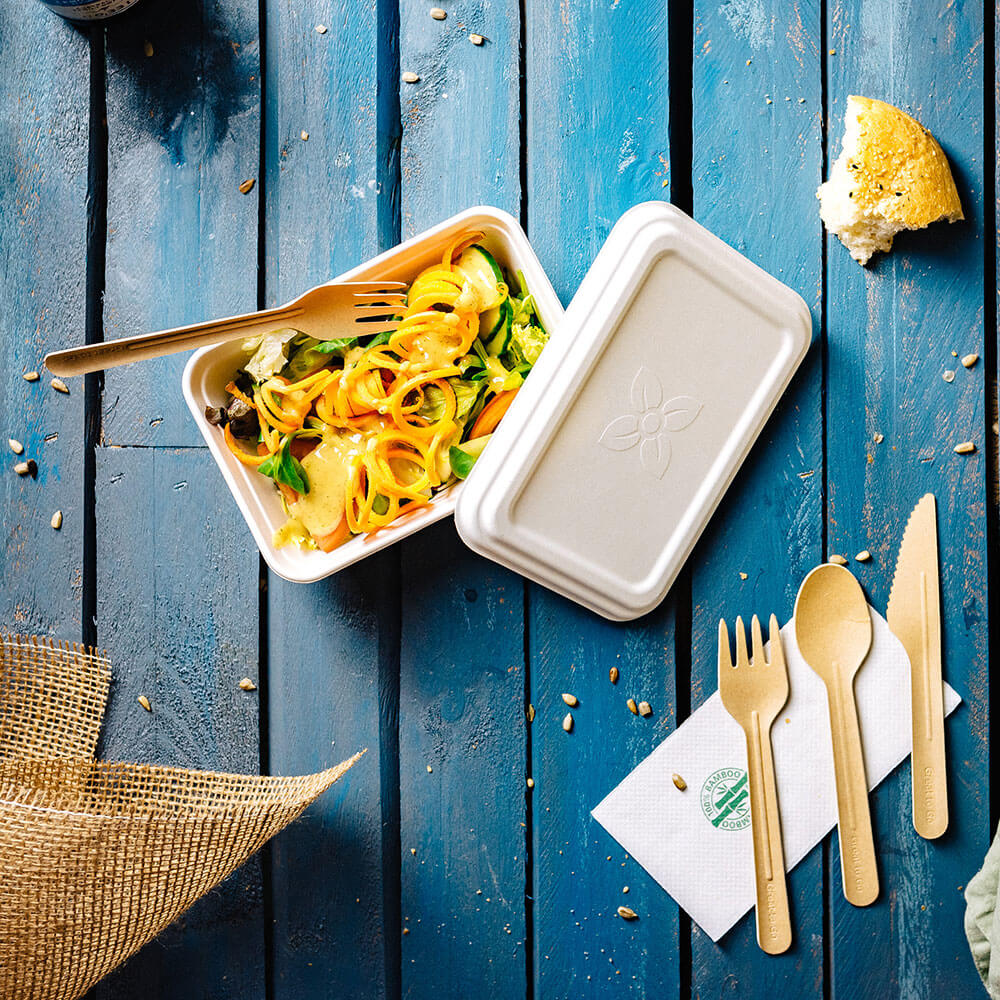 Barquette en canne à sucre 17x12x6 cm, 650 ml (500 pièces) [GB-DFC01226]