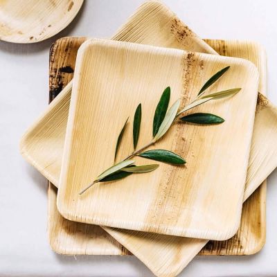 Vierkant Bord Palmblad 18x18 cm (200 stuks) [GB-DTW05348]