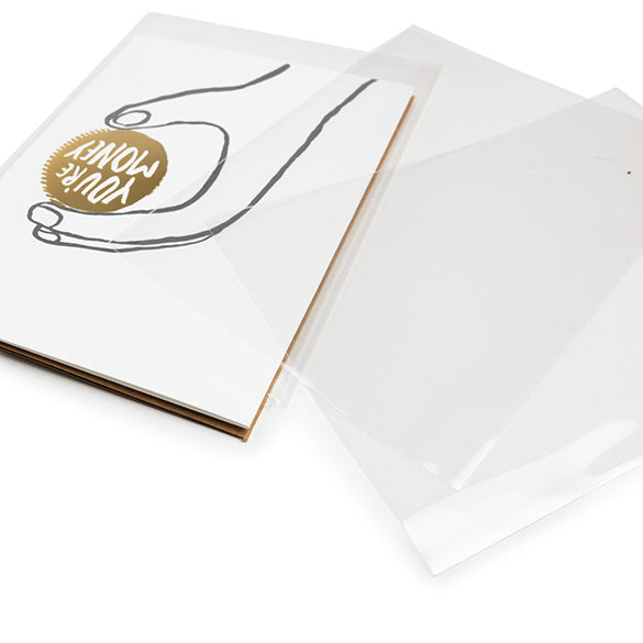 Zakken Milieuvriendelijk ECO 9,7x13,2cm Premium en Sealbaar (100 stuks) [GC3X5NF]