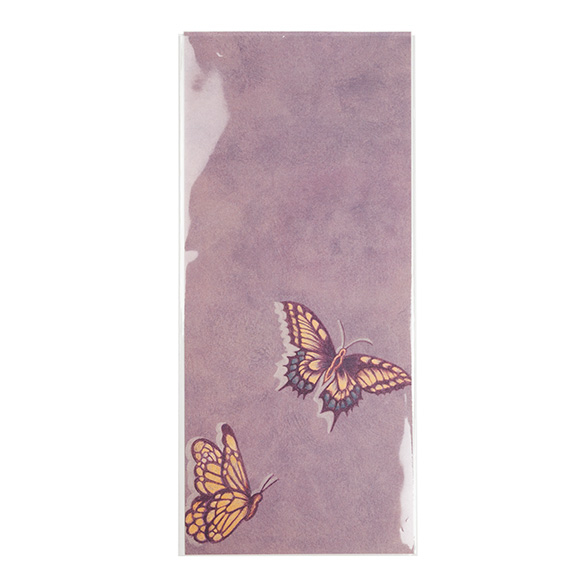 Sachet Écologique haute qualité scellable sans rabat 11x24.3cm (100 pièces) [GC49NF]