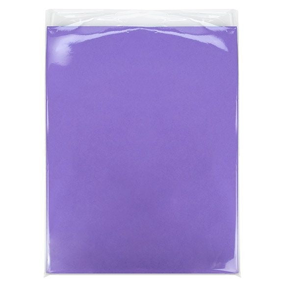 Sachet Écologique haute qualité scellable sans rabat 22.9x30.5cm (100 pièces) [GC912ENF]