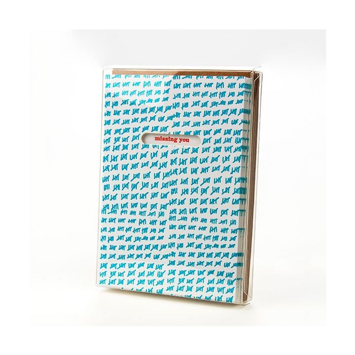 Plastiek Doosjes 9,5x1,5x13 cm Kristalhelder (25 stuks) [FB10]