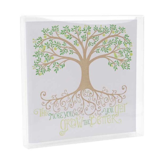 Plastiek Doosjes 13x1,6x12,9cm Kristalhelder (25 stuks) [FB11]