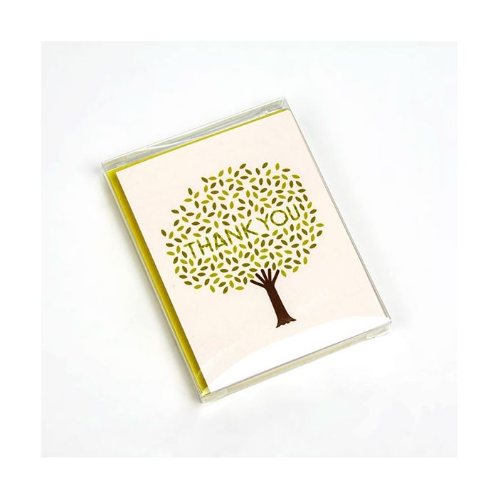 Plastiek Doosjes 11.4x1.6x14.9 cm Kristalhelder (25 stuks [FB3]