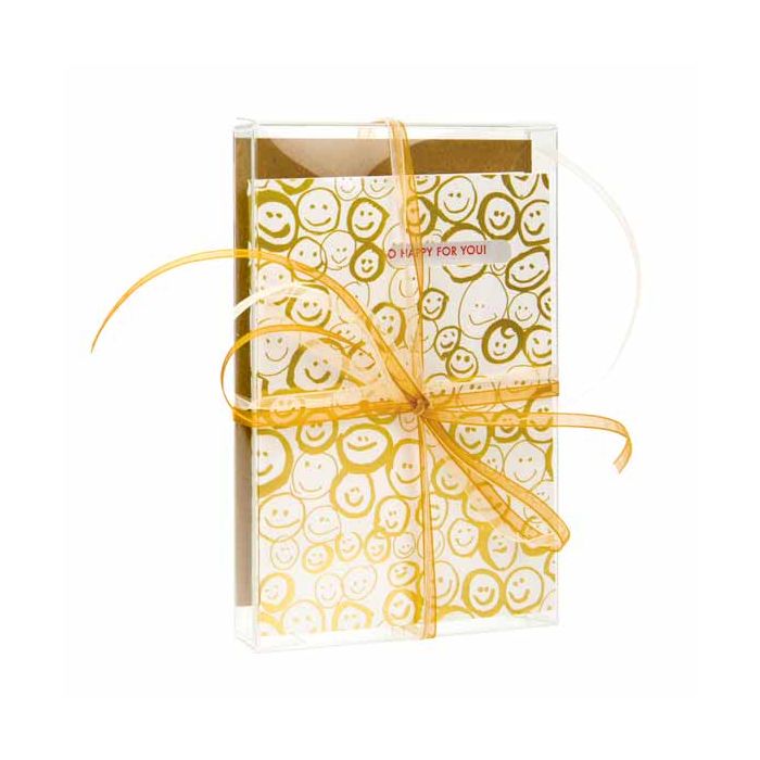 Plastiek Doosjes 9,2x1,6x14,3cm Kristalhelder (25 stuks) [FB33]