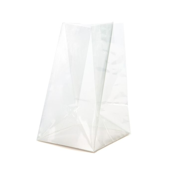 Block Bottom Bags Clear 5.1x3.8x12.7cm with paper insert