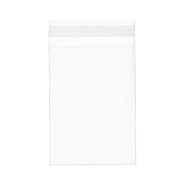 Plastiek Zakken 11,7x16,2cm Transparant en Hersluitbaar (100 stuks) [B4X6XL]