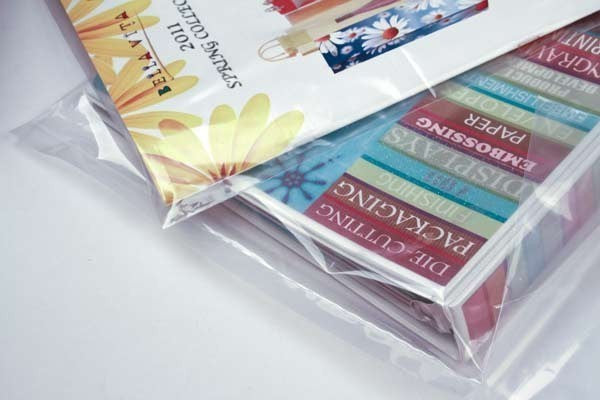 Sachet plastique transparence cristalline en PE-BD 38 microns 7.6x7.6cm (100 pièces) [PE1H33]