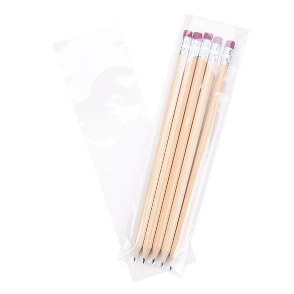 Sachet en polypropylène transparent de 5,1x20,3 cm (100 pièces) [FP128]